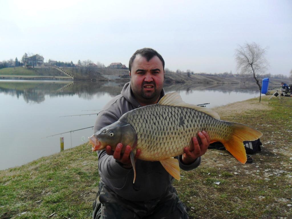 pescuit 2013 - sam1769.JPG